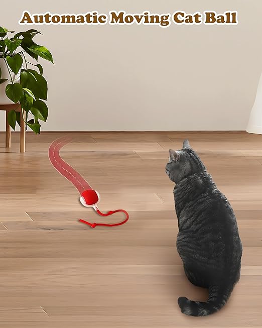 Cat Ball Toy with Rope