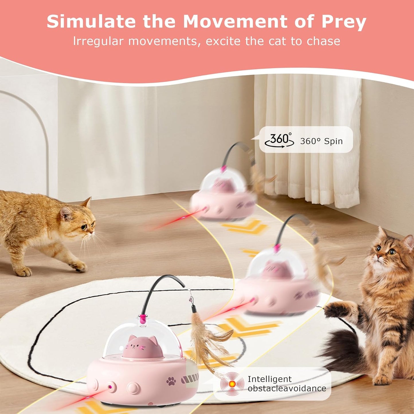 Cat Laser with Feather Toy