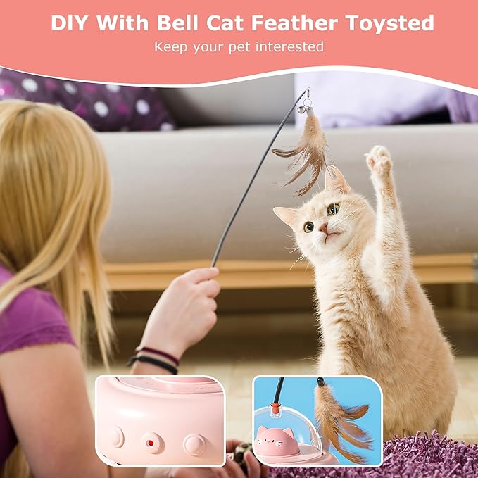 Cat Laser with Feather Toy