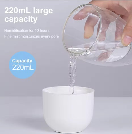 Ultrasonic air purification and humidifier