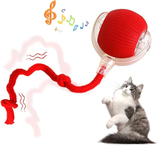 Cat Ball Toy with Rope