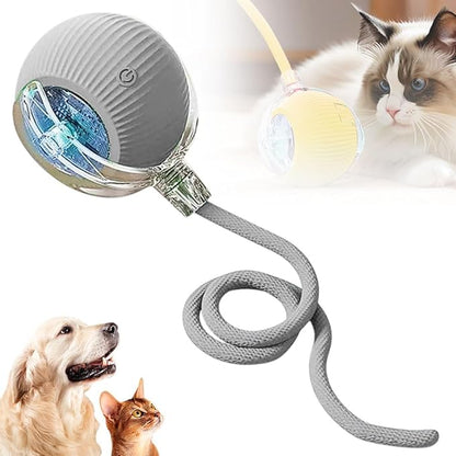 Cat Ball Toy with Rope
