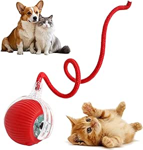 Cat Ball Toy with Rope