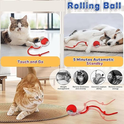Cat Ball Toy with Rope