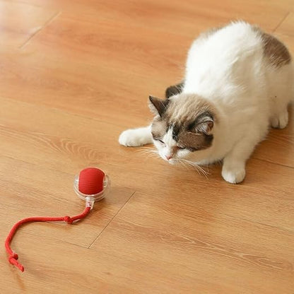 Cat Ball Toy with Rope