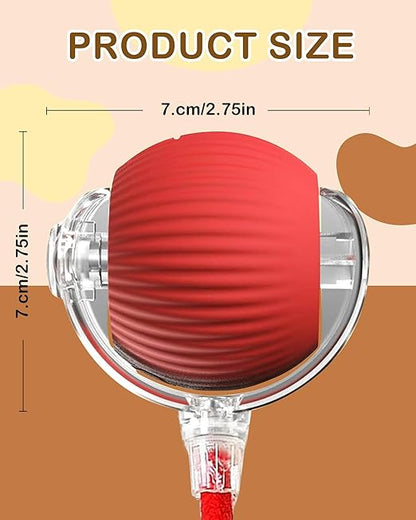 Cat Ball Toy with Rope