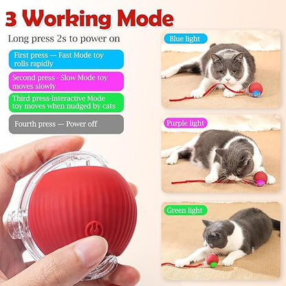 Cat Ball Toy with Rope