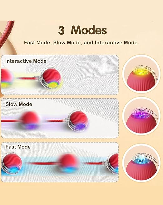 Cat Ball Toy with Rope