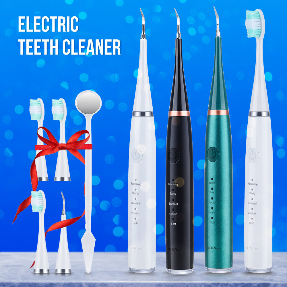 USB Electric Toothbrush Set