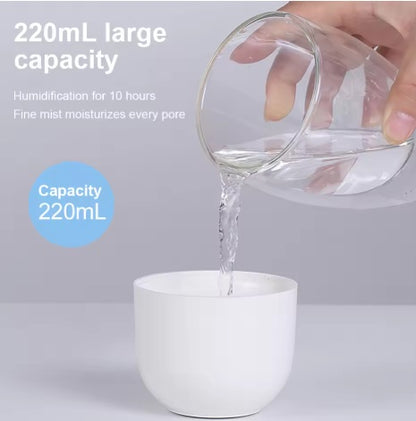 Ultrasonic air purification and humidifier